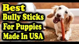 Best Bully Sticks For Puppies Made In USA