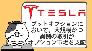テスラのプットオプションにおいて、大規模かつ異例の取引がオプション市場を支配【2024/07/03】