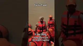 Fazilka Flood Report News #breakingnews #punjabfloods #flood #fazilkaflood