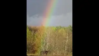 Maphia - the hard part's done! She' ready to ride off into the RAINBOW!