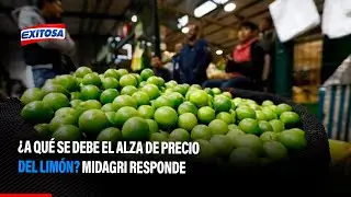 🔴🔵&iquest;A qu&eacute; se debe el alza de precio del lim&oacute;n? Midagri responde