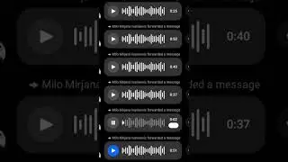 Audio zapisi prijetnji, predati policiji