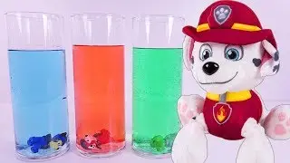 PAW PATROL Science Experiment Learning COLORS | DCTC School with Amy Jo