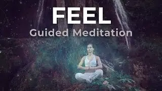 Guided Heart Coherence Meditation to Feel Peace in your Heart