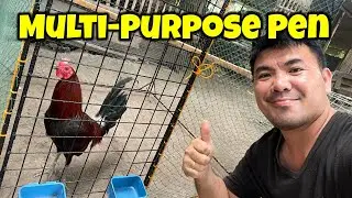 Multi purpose pen for chickens | Breeding Pen