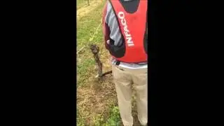 Vineyard Suckering 37% Faster
