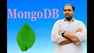 MongoDB 4 || Show Collections