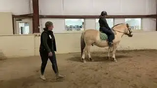 Path Intl CTRI Video