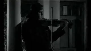 Captain Stu & The Llamas - The Curse