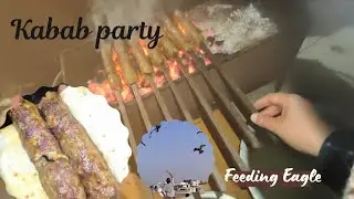 Kabab Party with friends | feed Eagles | Enjoying Saturday Night.