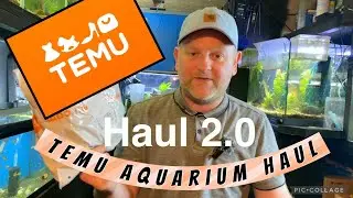 Temu aquarium product haul and update on my sick fish and what I&rsquo;m doing next 🤷&zwj;♂️🤷&zwj;♂️