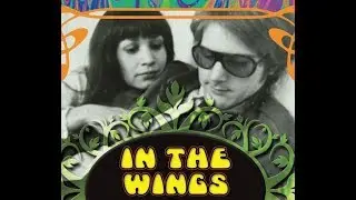 Ianthe McGuinn Interview - Broad Perspectives