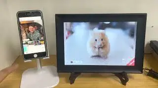 iDolphin App功能演示