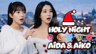 Holy Night (ホーリーナイト) | Toradora! Episode 19 Insert Song Cover | Merry X'mas everyone !