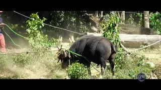 Catching Mithun For Ikishe Baptist Church 25th Silver Jubilee Program