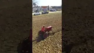 Farmall Cub plowing #farmall51 #farmall #farm #shorts #plowing #shortsvideo