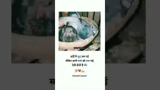 Ft sp cl woman dp app lal appeal malai