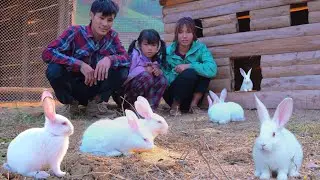 One Family Building Rabbits Farm | Cooking After a Day Work: Family Life in the Foothills