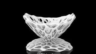 Double Voronoi Fruit Bowl - Math Decor by Dizingof