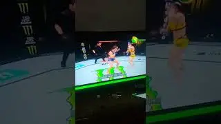 UFC fighter Viera vsTate