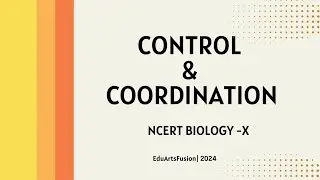 Control And Coordination|| NCERT explanation summary #class10