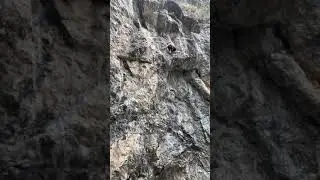License to Thrill 5.11c - The Membrane (American Fork Canyon, UT)