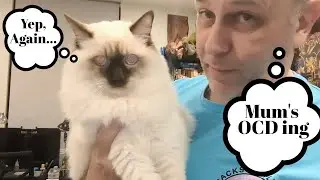 Уборка шкафа с декором в моей художественной комнате #аутизм