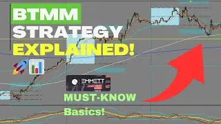 BTMM Strategy Basics: What You MUST Know Before Trading! 🚀📉
