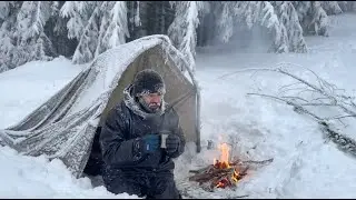 Building a Perfect Winter Shelter using ONLY 2 Branches (-20&deg; Solo Bushcraft)
