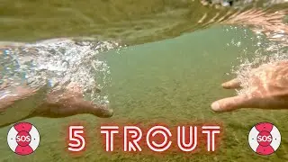 Insanely Simple Fishing - Hook, Split Shot & Worms: 5 Remarkable Wild Irish Trout - Fishing Ireland