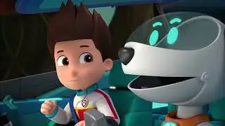 PAW Patrol | Die PAW Patrol gegen die Gepardin! | Nick Jr. Deutschland