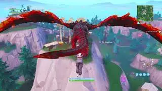 Week 6 guide