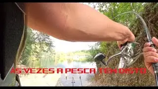 WILD Carpfishing - Nem sempre são rosas ..... 🎣 | 4K30fps | Portugal