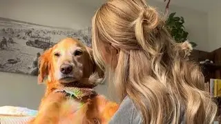 lightweight bikinis, and elegant sheer dresses that reflect the newest fashion trends🫣#india #dog 