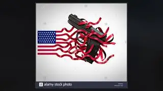 Gun Violence In The United States