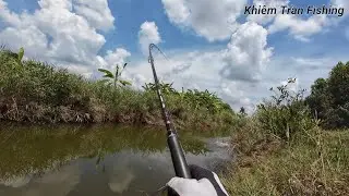 Câu cá lóc Tân Phú Đông Tập #99 Ngày may mắn lên toàn cá bự  đóng đã tay/khiemtranfishing