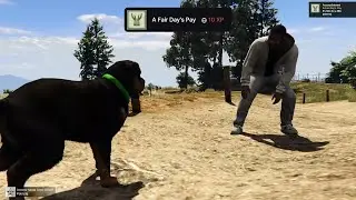 chop the dawg