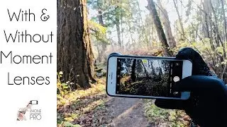 Moment Lenses: With & Without on a iPhone and Pixel