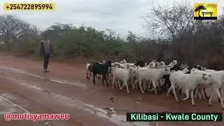 Heavy downpour in Kilibasi!