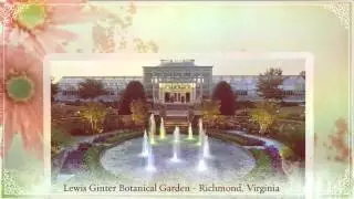 Best Botanical Gardens in the U.S.