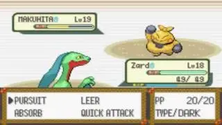 Pokemon Emerald -  Gym Leader Brawly