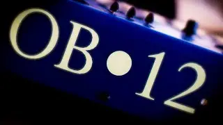 Oberheim OB12   Is it just wrong?