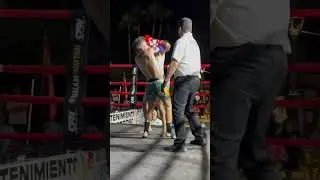 Golden Series 28/9/24 - Ilias VS Jose Angel