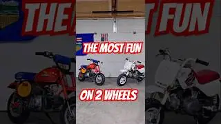HONDA Z50R FUN #automobile #motorcycle #pitbike #honda #Z50 #music #fun #nostalgia #wheelie #stunt
