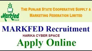 PUNJAB MARKFED RECRUITMENT 2019 | PUNJAB GOVT RECRUITMENT 2019 | FULL DETAIL ABOUT POSTS