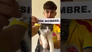 Mi Gato Sin Nombre!😼