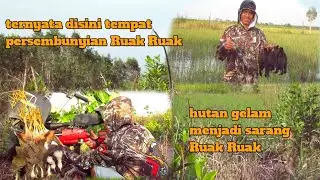 BERBURU BURUNG RUAK-RUAK DISPOT YANG BELUM TERJAMAH TERNYATA SEGACOR INI ‼️