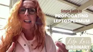How to Propagate Leptospermum Cuttings 🌱 | Propagation for Frost-Prone Gardens Southern Highlands