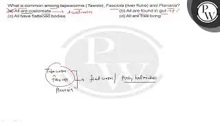 What is common among tapeworms (Taenia), Fasciola (liver fluke) and Planaria? (a) All are coelom...