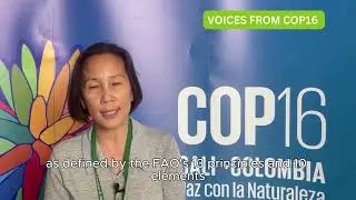 Lim Li Ching- Thirld World Network & IPES- Food